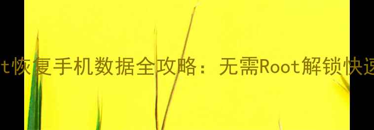 图片 最新安卓免Root恢复手机数据全攻略：无需Root解锁快速找回误删文件