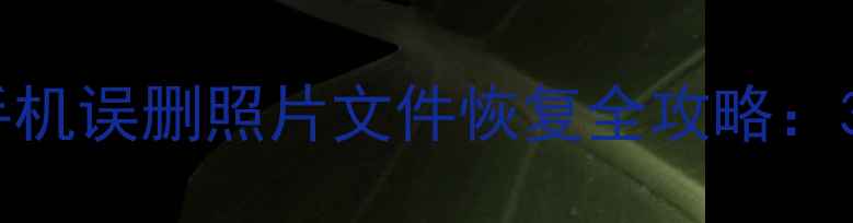 图片 最新教程！vivo手机误删照片文件恢复全攻略：3步找回重要数据2