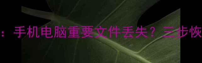 图片 最新数据恢复指南：手机电脑重要文件丢失？三步恢复指南与工具推荐