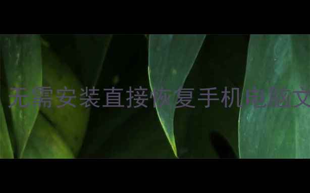 最新数据恢复神器无需安装直接恢复手机电脑文件附免费教程