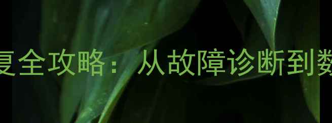 最新版硬盘2258数据恢复全攻略从故障诊断到数据找回的7步专业指南