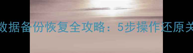 图片 服务器数据备份恢复全攻略：5步操作还原关键数据