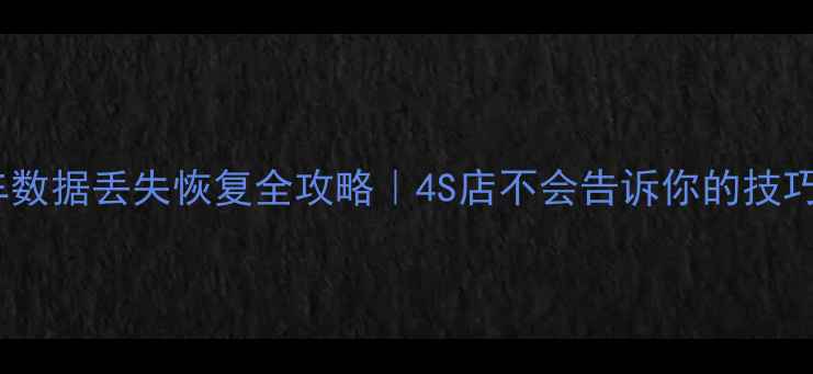 图片 朗逸行车数据丢失恢复全攻略｜4S店不会告诉你的技巧大公开1