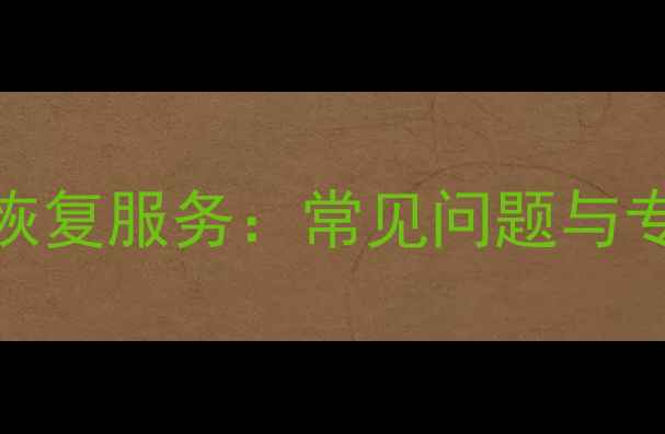 朝阳U盘数据恢复服务常见问题与专业解决方案