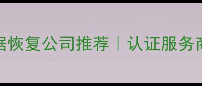 权威数据恢复公司推荐认证服务商全攻略