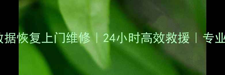 图片 权威服务硬盘数据恢复上门维修｜24小时高效救援｜专业数据恢复公司2