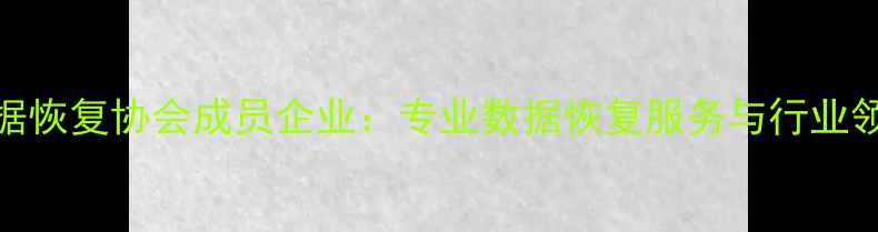 权威认证中国数据恢复协会成员企业专业数据恢复服务与行业领先技术解决方案