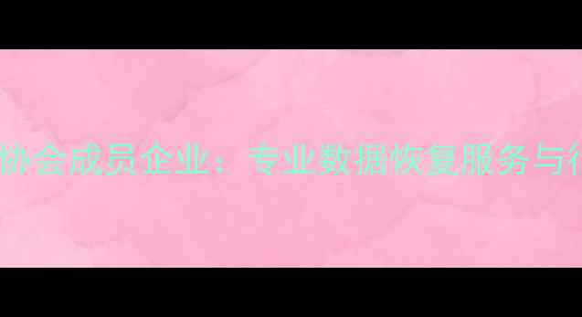 图片 权威认证中国数据恢复协会成员企业：专业数据恢复服务与行业领先技术解决方案1