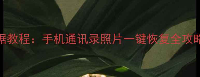 李宗恒恢复前女友数据教程手机通讯录照片一键恢复全攻略含完整操作指南