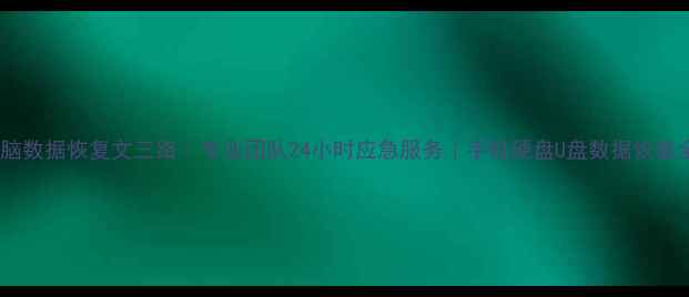 图片 杭州电脑数据恢复文三路｜专业团队24小时应急服务｜手机硬盘U盘数据恢复全攻略2