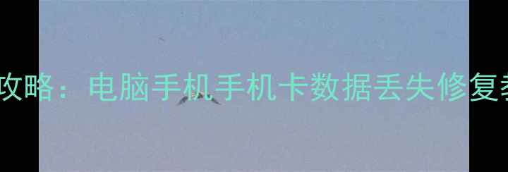 图片 极速数据恢复全攻略：电脑手机手机卡数据丢失修复教程与注意事项2