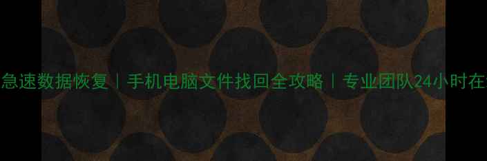 图片 枣庄急速数据恢复｜手机电脑文件找回全攻略｜专业团队24小时在线！