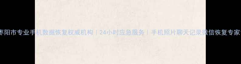 图片 枣阳市专业手机数据恢复权威机构｜24小时应急服务｜手机照片聊天记录微信恢复专家1