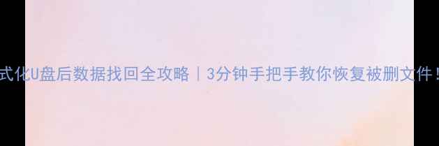 图片 格式化U盘后数据找回全攻略｜3分钟手把手教你恢复被删文件！2