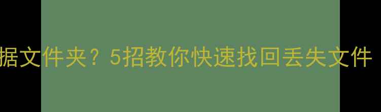 图片 格式化后恢复数据文件夹？5招教你快速找回丢失文件（附详细教程）2
