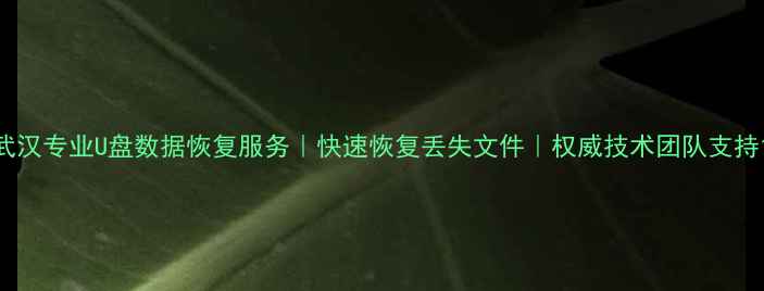 图片 武汉专业U盘数据恢复服务｜快速恢复丢失文件｜权威技术团队支持1