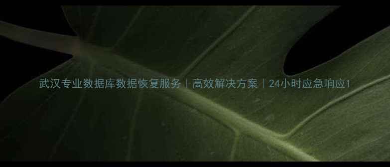 图片 武汉专业数据库数据恢复服务｜高效解决方案｜24小时应急响应1