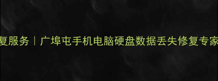 图片 武汉专业数据恢复服务｜广埠屯手机电脑硬盘数据丢失修复专家（24小时应急）