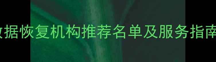 图片 武汉专业数据恢复机构推荐名单及服务指南（最新）1