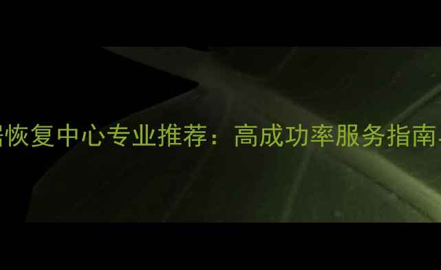 图片 武汉数据恢复中心专业推荐：高成功率服务指南与选择全