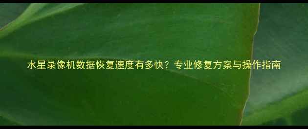 图片 水星录像机数据恢复速度有多快？专业修复方案与操作指南