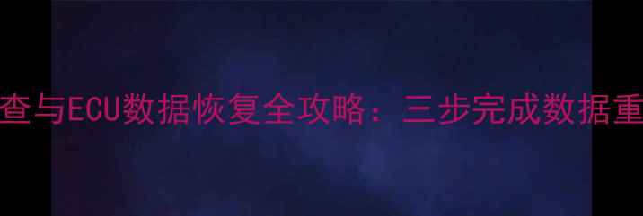 汽车ABS故障排查与ECU数据恢复全攻略三步完成数据重置及故障诊断