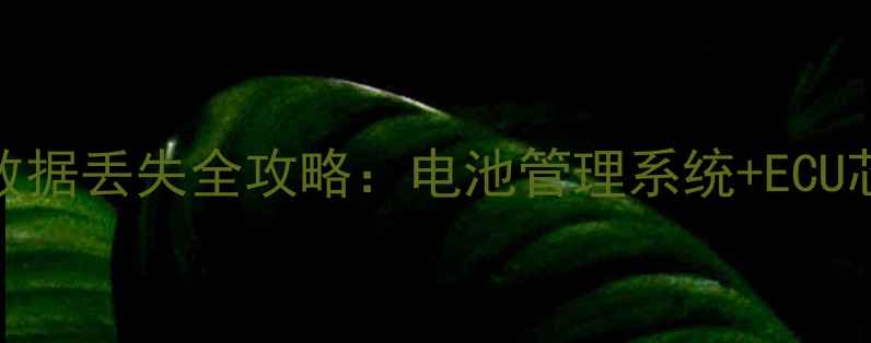 汽车换电瓶后数据丢失全攻略电池管理系统ECU芯片双恢复方案