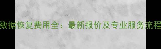 图片 汽车数据恢复费用全：最新报价及专业服务流程指南