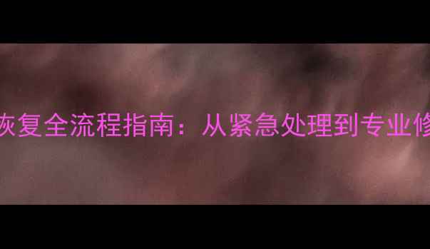 图片 汽车检测数据恢复全流程指南：从紧急处理到专业修复的7步秘籍1