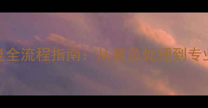 图片 汽车检测数据恢复全流程指南：从紧急处理到专业修复的7步秘籍2