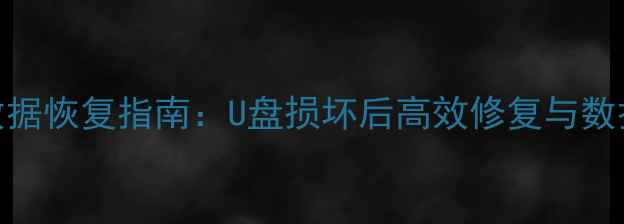 沈阳专业U盘数据恢复指南U盘损坏后高效修复与数据找回全攻略