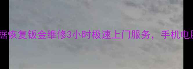 图片 沈阳专业汽车数据恢复钣金维修3小时极速上门服务，手机电脑数据全修复！2