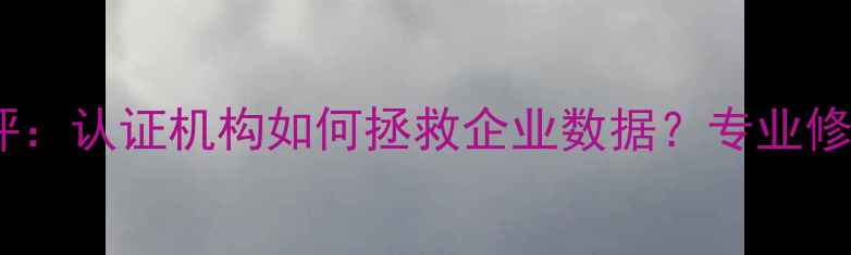 河洛数据恢复最新测评认证机构如何拯救企业数据专业修复方案与避坑指南全