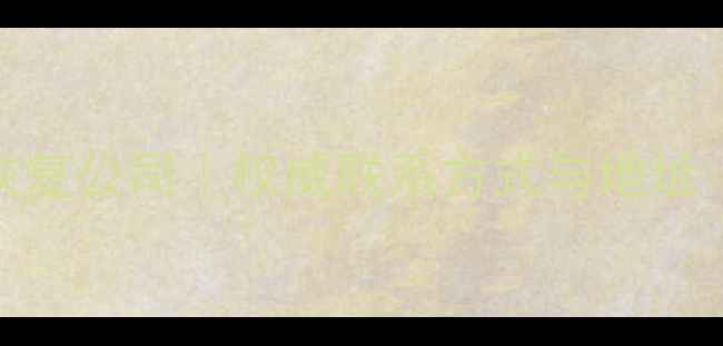 图片 泊头专业数据恢复公司｜权威联系方式与地址｜快速救援服务