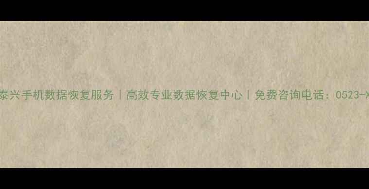 图片 泰兴手机数据恢复服务｜高效专业数据恢复中心｜免费咨询电话：0523-X