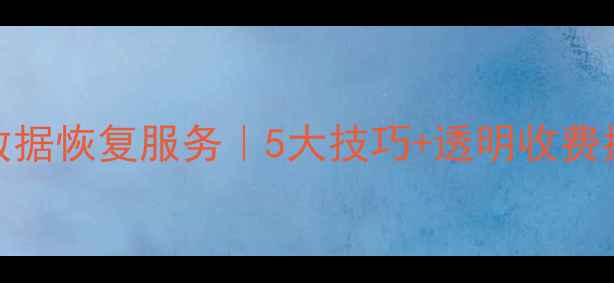 泰州专业硬盘数据恢复服务5大技巧透明收费指南附案例
