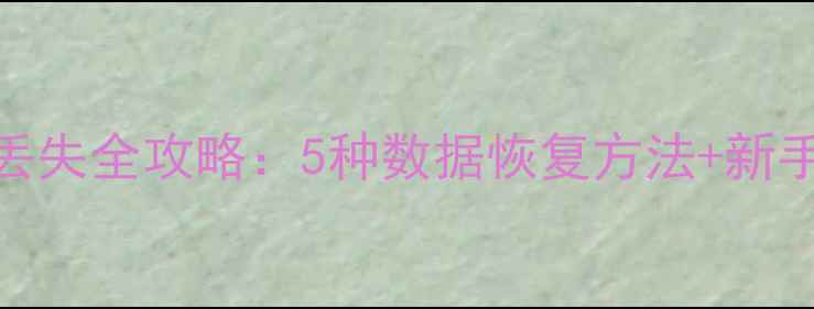 图片 泰拉瑞亚存档丢失全攻略：5种数据恢复方法+新手必看操作指南