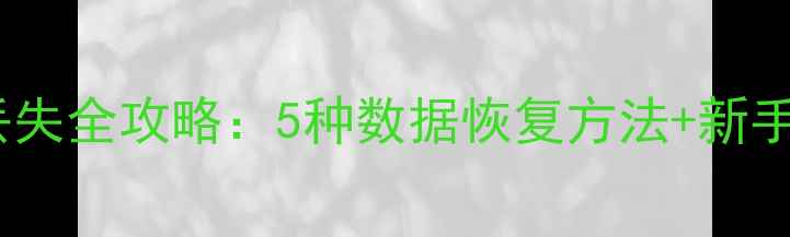 泰拉瑞亚存档丢失全攻略5种数据恢复方法新手必看操作指南