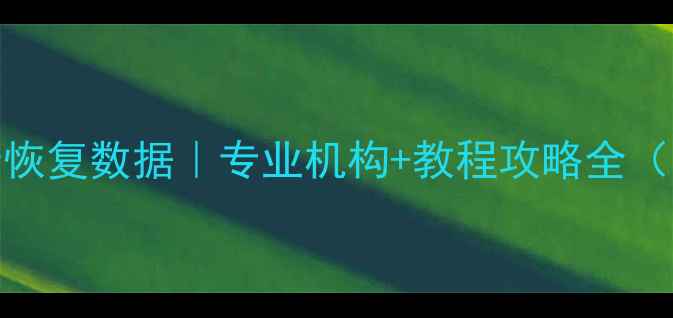 图片 泸溪行车记录恢复数据｜专业机构+教程攻略全（附真实案例）