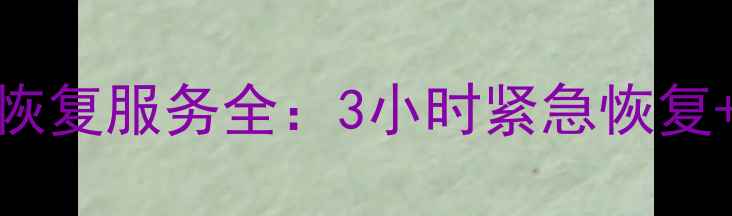 图片 济南Excel数据恢复服务全：3小时紧急恢复+专业技术保障1