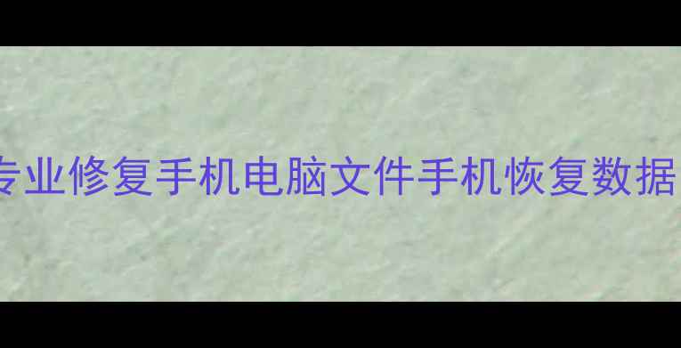 济南济阳区数据恢复专业修复手机电脑文件手机恢复数据24小时快速上门服务