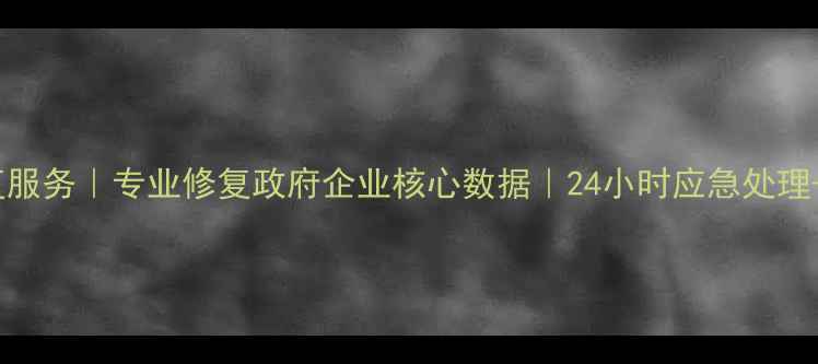 济南涉密数据恢复服务专业修复政府企业核心数据24小时应急处理军事级加密技术