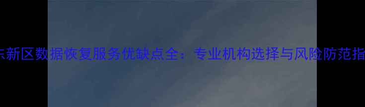 图片 浦东新区数据恢复服务优缺点全：专业机构选择与风险防范指南2