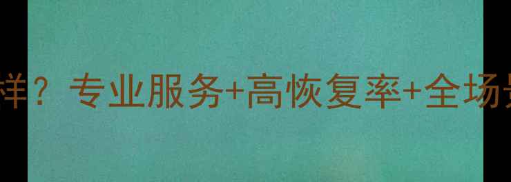 图片 海马数据恢复怎么样？专业服务+高恢复率+全场景覆盖，权威测评1