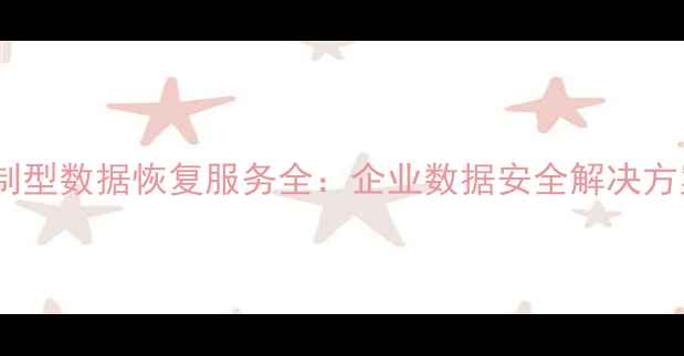 淄博定制型数据恢复服务全企业数据安全解决方案专家