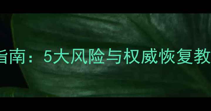 淘宝数据恢复安全指南5大风险与权威恢复教程附避坑建议