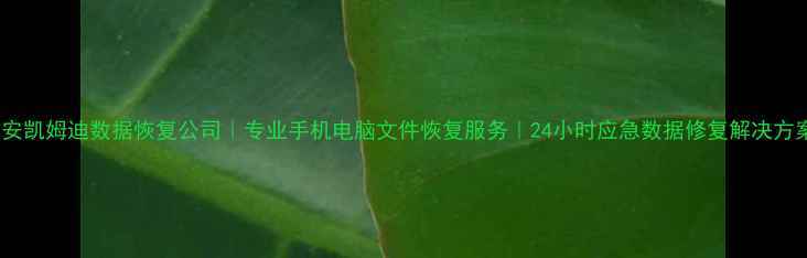 淮安凯姆迪数据恢复公司专业手机电脑文件恢复服务24小时应急数据修复解决方案