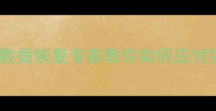 深圳数据中心恢复进行中数据恢复专家教你如何应对突发断电硬盘损坏等危机