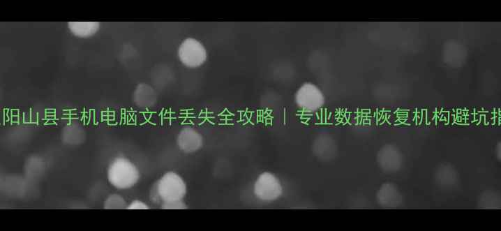 图片 清远阳山县手机电脑文件丢失全攻略｜专业数据恢复机构避坑指南1