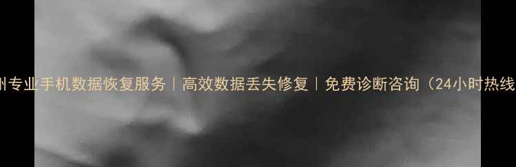 图片 温州专业手机数据恢复服务｜高效数据丢失修复｜免费诊断咨询（24小时热线）2